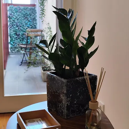 Alma Da Ponte de Lima