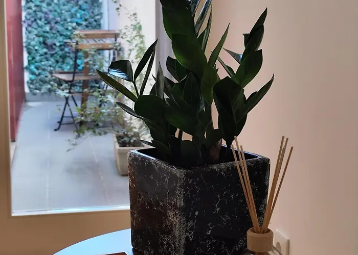 Alma Da بونتي دي ليما